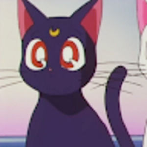 Meet your Posher, Bianca